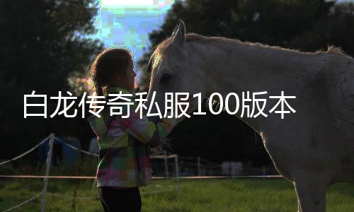 白龙传奇私服100版本无限点券获取攻略,白龙传奇私服100版本点券充值方法