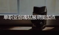 单职业剑魂私服刷图加点（单职业剑魂搬砖加点2020）