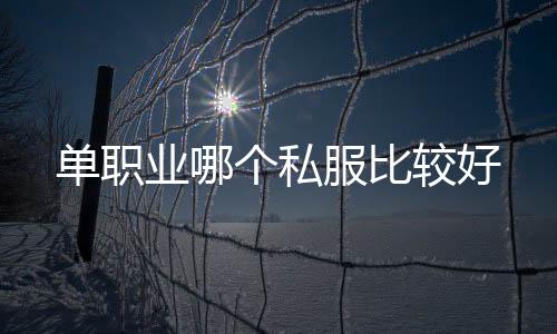 单职业哪个私服比较好