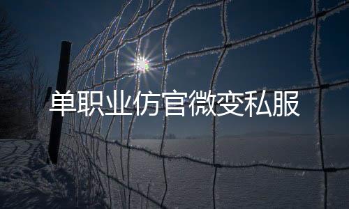 单职业仿官微变私服