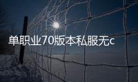 单职业70版本私服无cd（单职业 70版本）