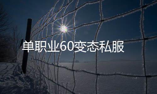 单职业60变态私服