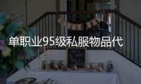 单职业95级私服物品代码（单职业90级装备代码）