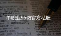 单职业95仿官方私服