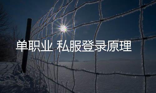 单职业 私服登录原理