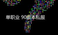 单职业 90版本私服