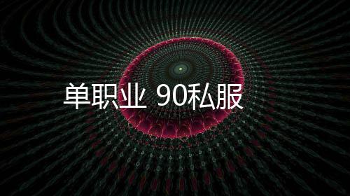 单职业 90私服