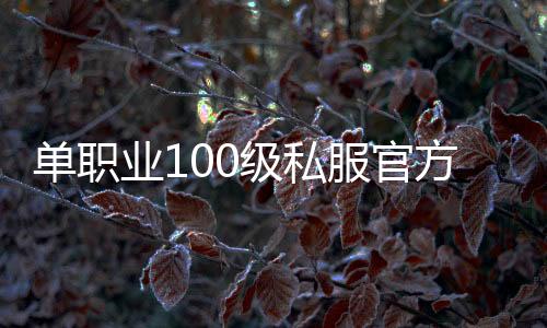 单职业100级私服官方