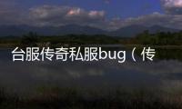 台服传奇私服bug（传奇私服台服刷钱bug）