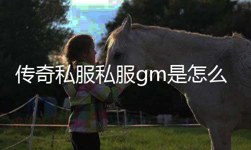 传奇私服私服gm是怎么检测挂的（传奇私服 gm是啥）