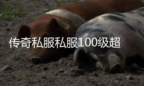 传奇私服私服100级超变态无冷却（地下城100级冷却装备）