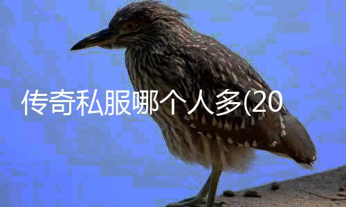 传奇私服哪个人多(2021最新单职业人气排行榜)