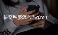 传奇私服怎么当g,m（成为传奇私服的GM的方法）