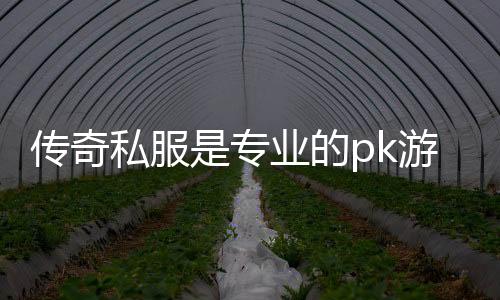 传奇私服是专业的pk游戏（深度解析传奇私服的pk玩法）