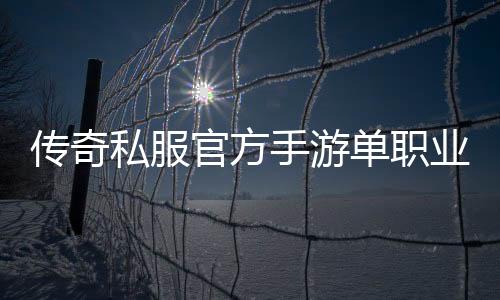 传奇私服官方手游单职业下载地址大全,最新版传奇私服官方手游单职业安卓版下载