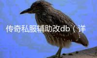 传奇私服辅助改db（详解传奇私服辅助改db的方法）