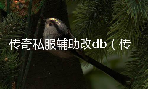 传奇私服辅助改db（传奇私服辅助软件db修改教程）