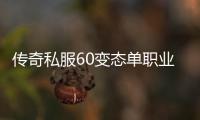 传奇私服60变态单职业怎么玩,最新传奇私服60变态单职业下载