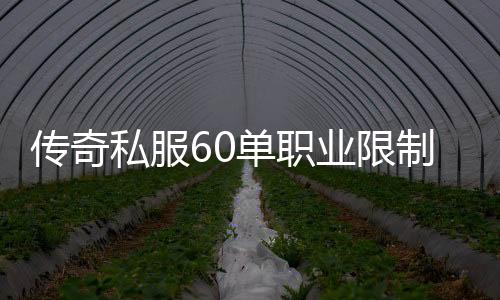 传奇私服60单职业限制登录规则解析，传奇私服60单职业登录限制详解