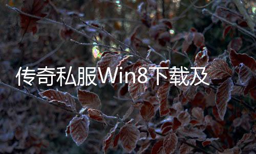 传奇私服Win8下载及安装教程，传奇私服Win8兼容性解决方案