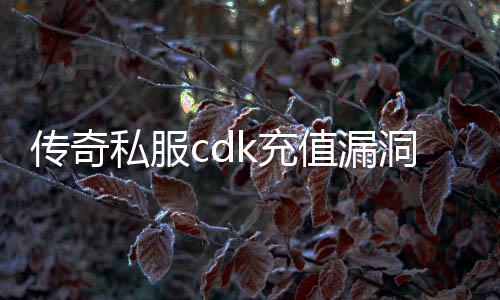 传奇私服cdk充值漏洞（揭秘传奇私服cdk充值漏洞的原理）