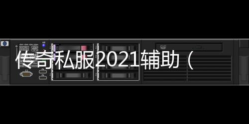 传奇私服2021辅助（传奇私服100单职业）