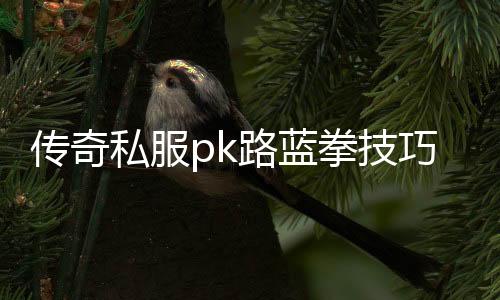 传奇私服pk路蓝拳技巧分享,路蓝拳在传奇私服的优势与玩法解析