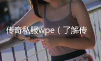 传奇私服wpe（了解传奇私服wpe的使用方法）