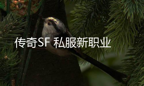 传奇SF 私服新职业