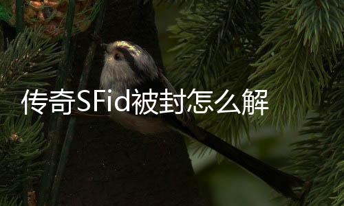 传奇SFid被封怎么解