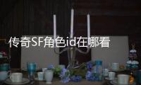 传奇SF角色id在哪看