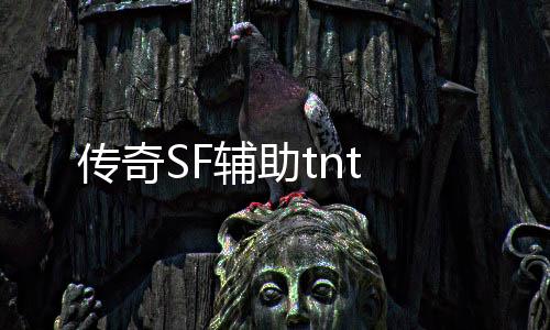 传奇SF辅助tnt