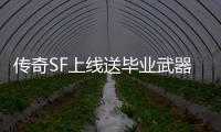 传奇SF上线送毕业武器（单职业送的武器能继承吗）