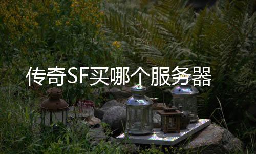 传奇SF买哪个服务器