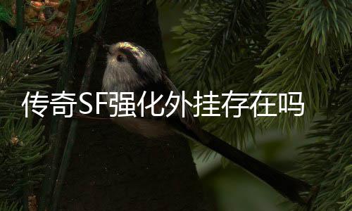 传奇SF强化外挂存在吗（单职业强化脚本）