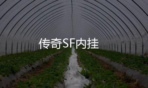 传奇SF内挂