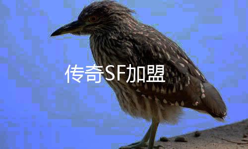 传奇SF加盟