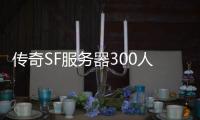 传奇SF服务器300人要多大（单职业100服务端）