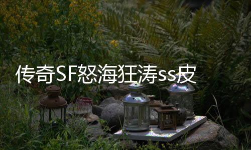 传奇SF怒海狂涛ss皮甲