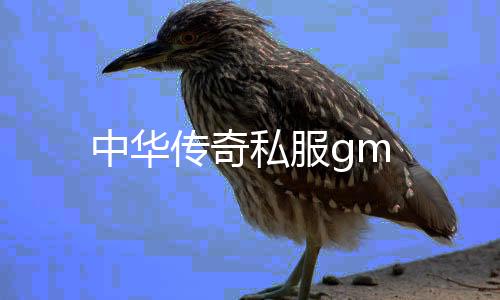 中华传奇私服gm