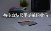 有传奇私服手游单职业吗（传奇私服手游公测时间已确定公测时间详细信息）