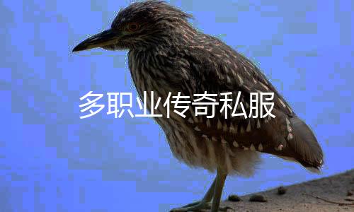 多职业传奇私服